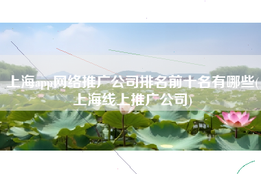 上海app网络推广公司排名前十名有哪些(上海线上推广公司)