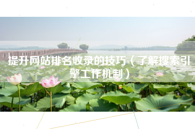 提升网站排名收录的技巧（了解搜索引擎工作机制）