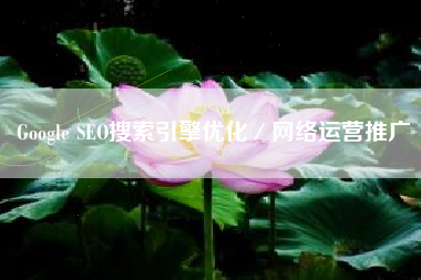 Google SEO搜索引擎优化/网络运营推广 Google SEO搜索引擎优化/网络运营推广