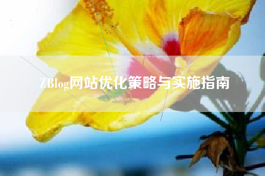ZBlog网站优化策略与实施指南 ZBlog网站优化策略与实施指南