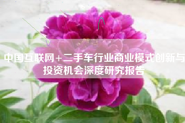 中国互联网+二手车行业商业模式创新与投资机会深度研究报告 中国互联网+二手车行业商业模式创新与投资机会深度研究报告