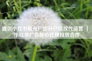 提供小红书聚光广告开户投放代运营 ｜ 小红书广告核心代理投放合作
