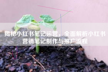 揭秘小红书笔记运营，全面解析小红书营销笔记制作与推广流程