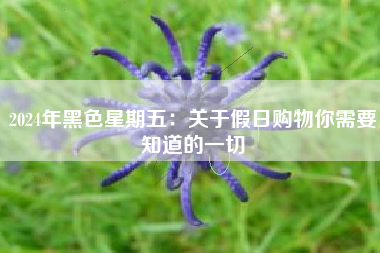 2024年黑色星期五：关于假日购物你需要知道的一切