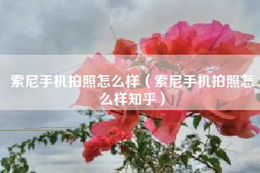 索尼手机拍照怎么样（索尼手机拍照怎么样知乎）