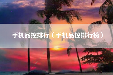 手机品控排行（手机品控排行榜）