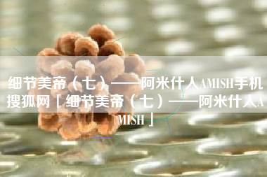 细节美帝（七）——阿米什人AMISH手机搜狐网「细节美帝（七）——阿米什人AMISH」