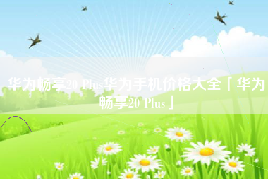 华为畅享20 Plus华为手机价格大全「华为畅享20 Plus」