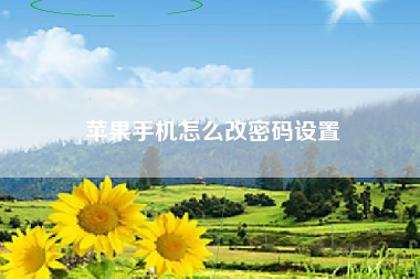 苹果手机怎么改密码设置