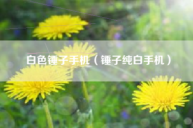 白色锤子手机（锤子纯白手机）