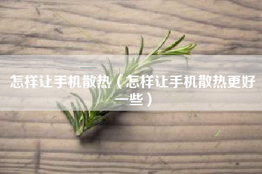 怎样让手机散热（怎样让手机散热更好一些）