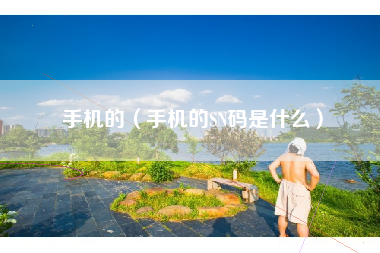 手机的（手机的SN码是什么）