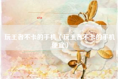 玩王者不卡的手机（玩王者不卡的手机便宜）