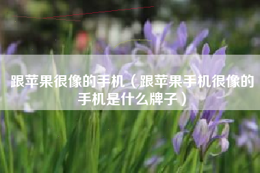 跟苹果很像的手机（跟苹果手机很像的手机是什么牌子）