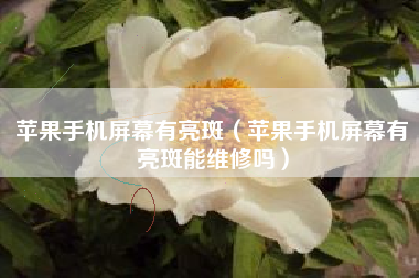 苹果手机屏幕有亮斑（苹果手机屏幕有亮斑能维修吗）