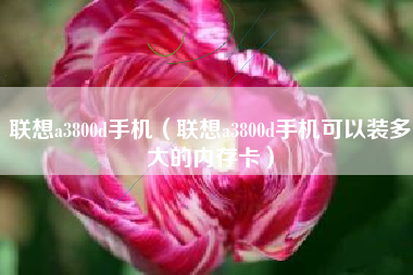 联想a3800d手机（联想a3800d手机可以装多大的内存卡）