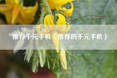推荐千元手机（推荐的千元手机）