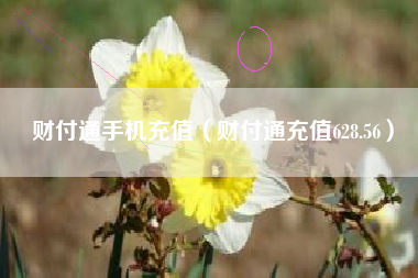 财付通手机充值（财付通充值628.56）