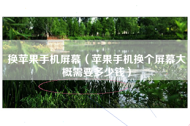 换苹果手机屏幕（苹果手机换个屏幕大概需要多少钱）