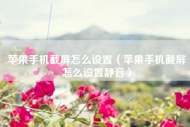 苹果手机截屏怎么设置（苹果手机截屏怎么设置静音）
