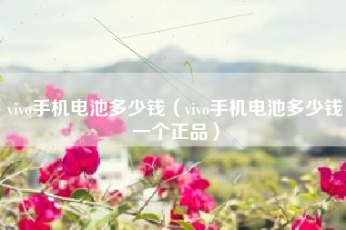 vivo手机电池多少钱（vivo手机电池多少钱一个正品）