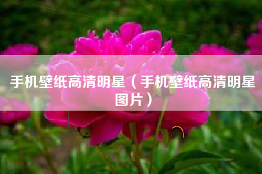 手机壁纸高清明星（手机壁纸高清明星图片）