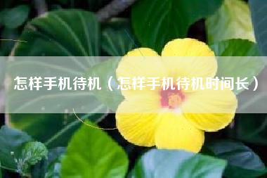 怎样手机待机（怎样手机待机时间长）