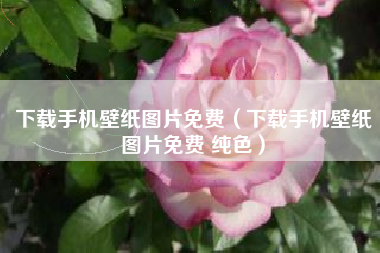 下载手机壁纸图片免费（下载手机壁纸图片免费 纯色）