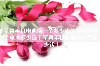 苹果手机电池换一个多少钱苹果手机换个电池多少钱「苹果手机电池换一个多少钱」