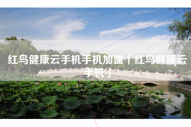 红鸟健康云手机手机加盟「红鸟健康云手机」