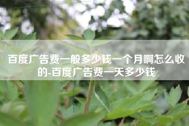 百度广告费一般多少钱一个月啊怎么收的-百度广告费一天多少钱