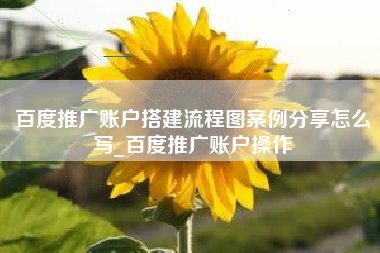 百度推广账户搭建流程图案例分享怎么写_百度推广账户操作