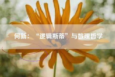 何新：“逻辑斯蒂”与数理哲学